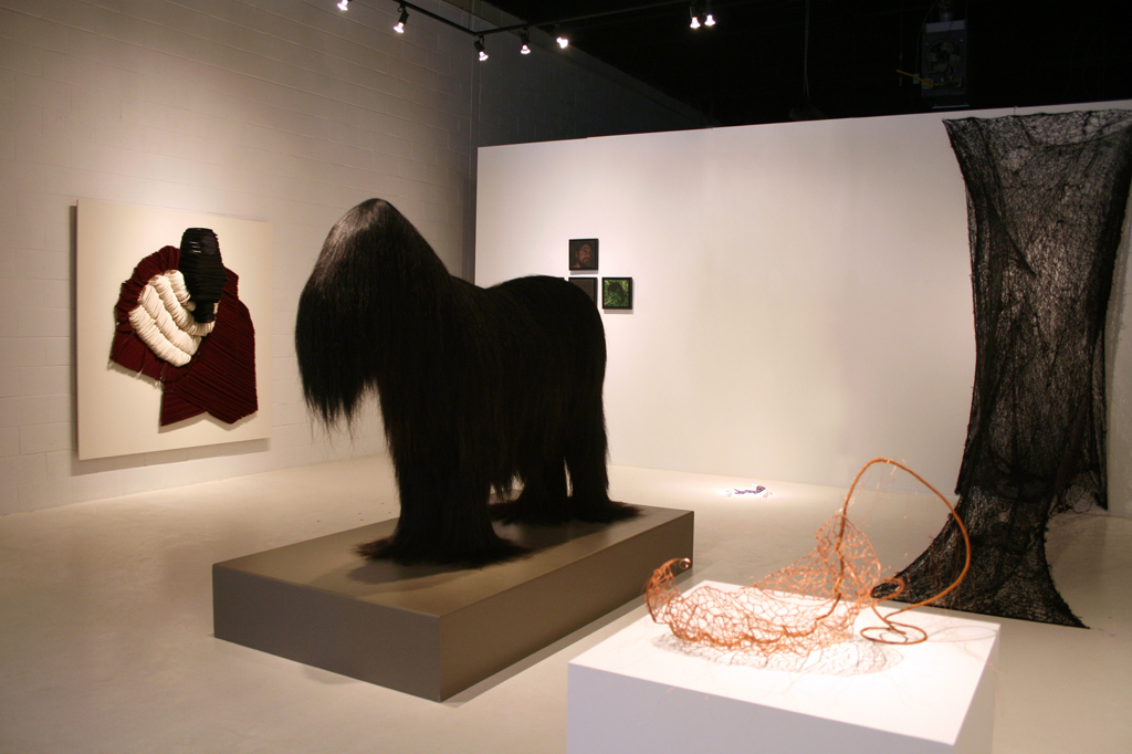 Installation view: Common Thread International exhibition Part 3, World of Threads Festival 2009.