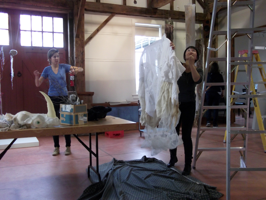 Jillian MacLachlan and Emily Jan installing their artwork, De rerum natura, World of Threads Festival 2012.