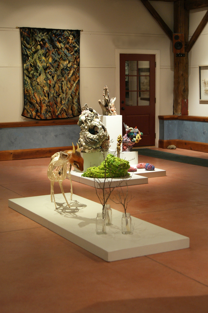 Installation view: De rerum natura, World of Threads Festival 2012.