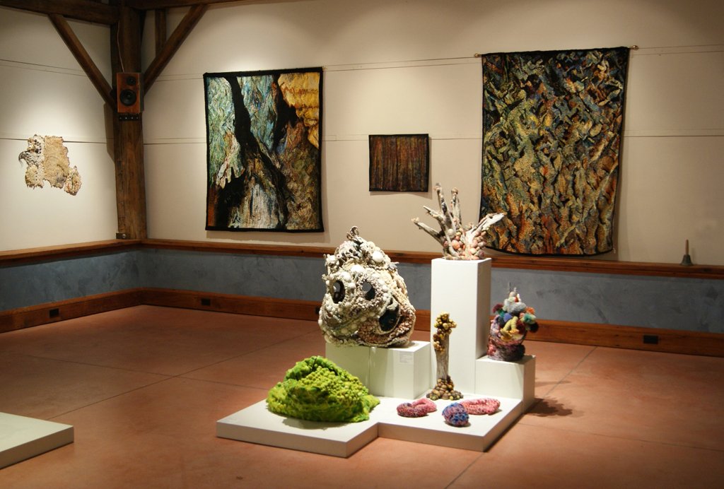 Installation view: De rerum natura, World of Threads Festival 2012.