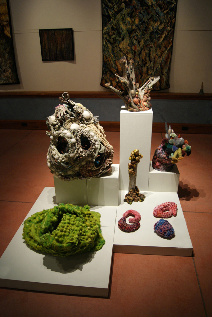 Installation view: De rerum natura, World of Threads Festival 2012.