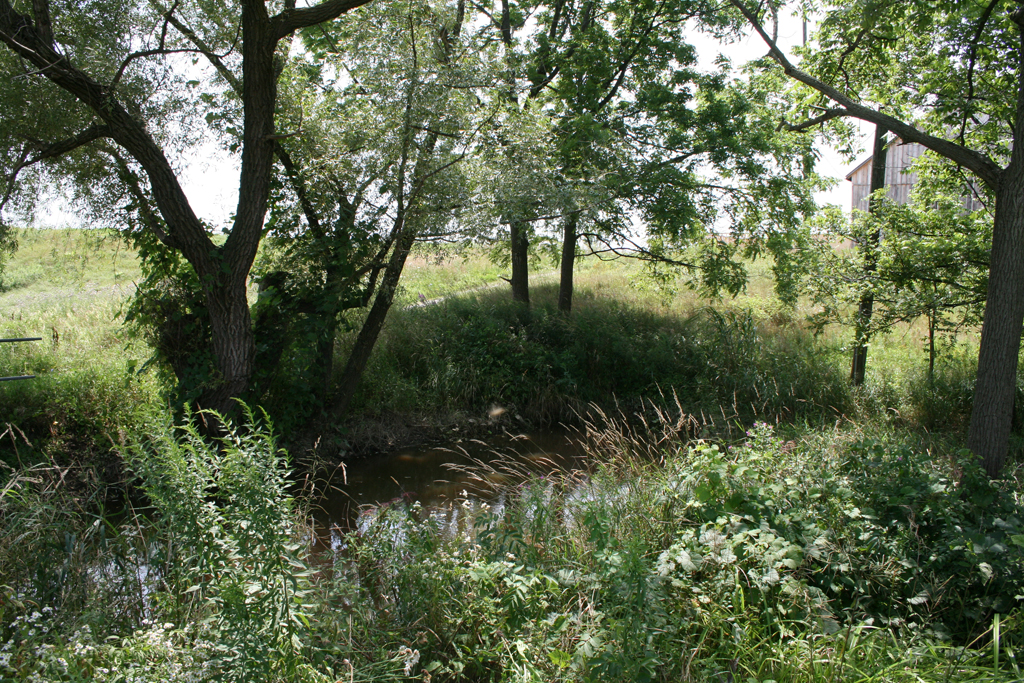 The stream at Joshua Creek Heritage Art Centre, Oakville, Ontario, Canada.