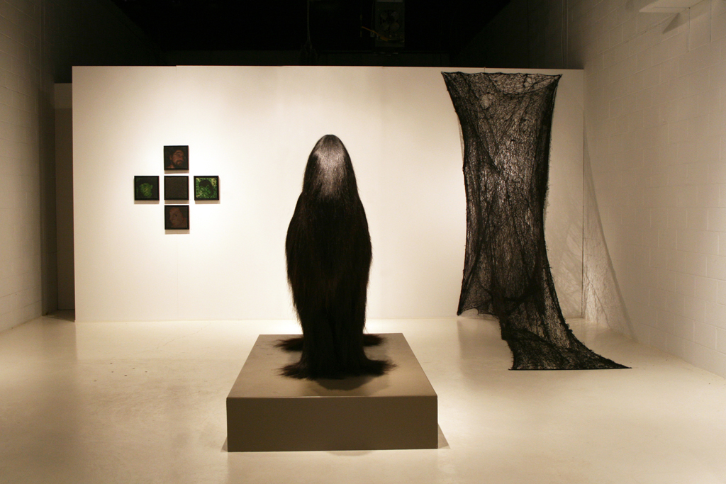 Installation view: Common Thread International exhibition Part 3, World of Threads Festival 2009.