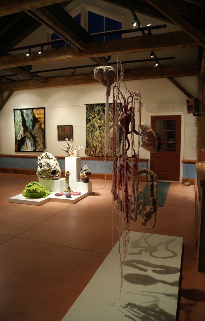 De rerum natura, World of Threads Festival 2012. Artist: Jillian MacLachlan.