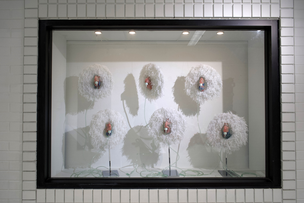 Variants, Elaine Whittaker, Forever Covid, World of Threads Festival 2023-24.