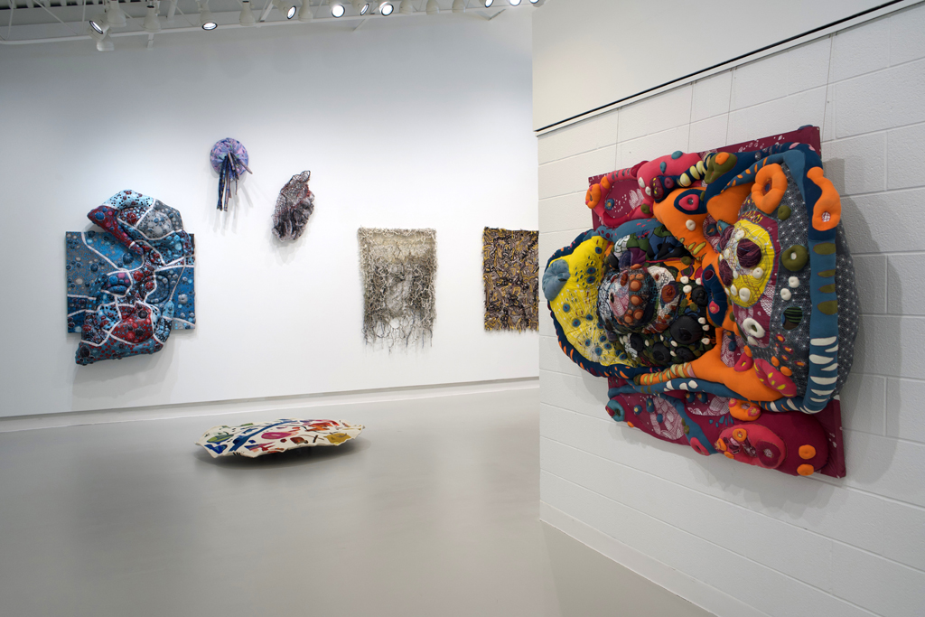 Installation view: Amorphous, World of Threads Festival 2023-24.