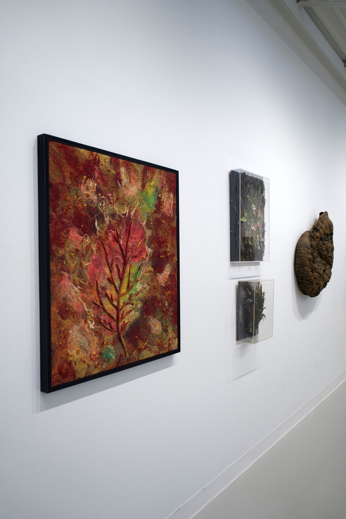 Installation view: Amorphous, World of Threads Festival 2023-24.