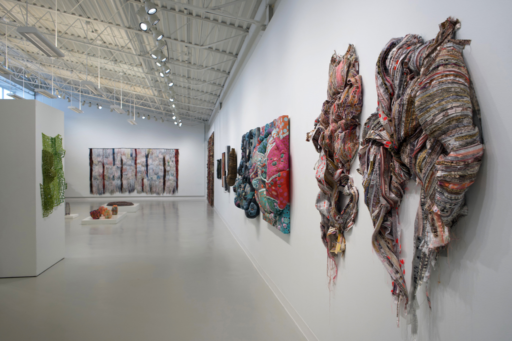 Installation view: Amorphous, World of Threads Festival 2023-24.