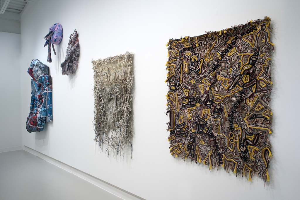 Installation view: Amorphous, World of Threads Festival 2023-24.