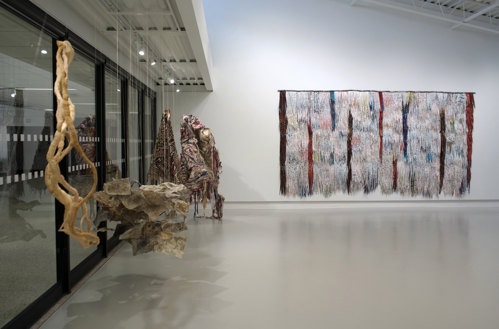 Installation view: Amorphous, World of Threads Festival 2023-24.