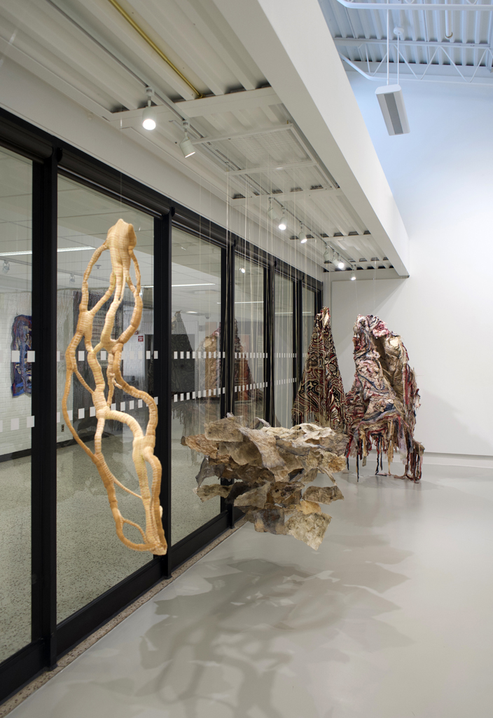 Installation view: Amorphous, World of Threads Festival 2023-24.
