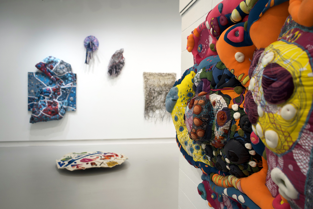 Installation view: Amorphous, World of Threads Festival 2023-24.