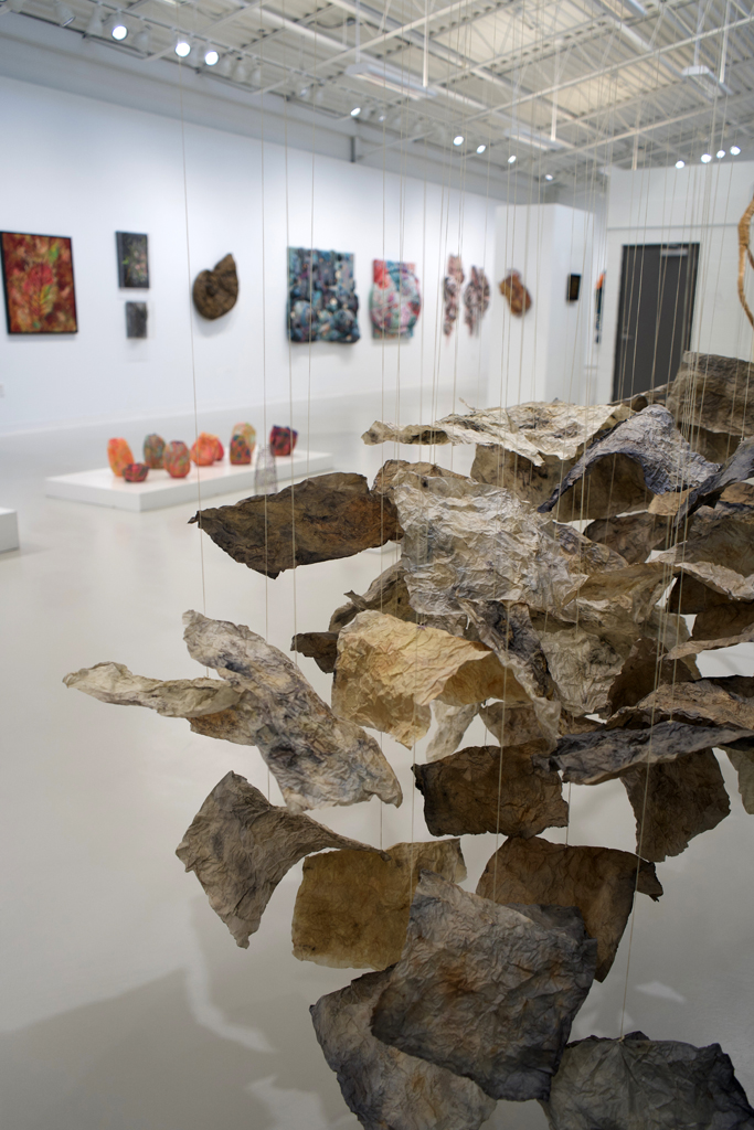 Installation view: Amorphous, World of Threads Festival 2023-24.