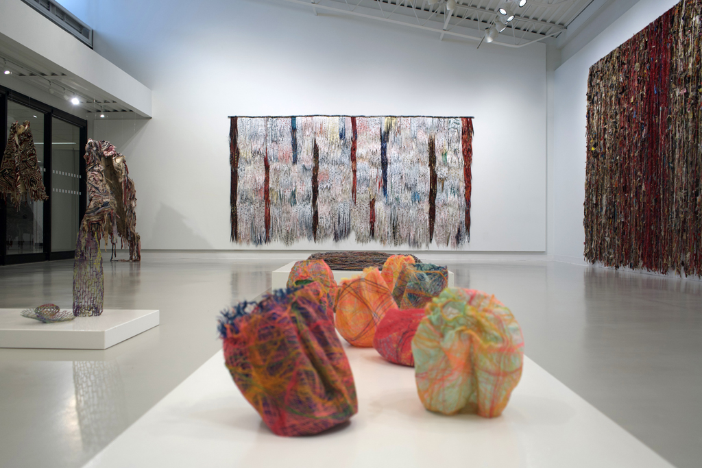 Installation view: Amorphous, World of Threads Festival 2023-24.