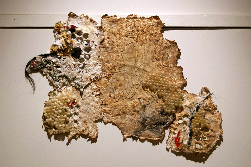 Gerridae, Heather Komus, De rerum natura, World of Threads Festival 2012.