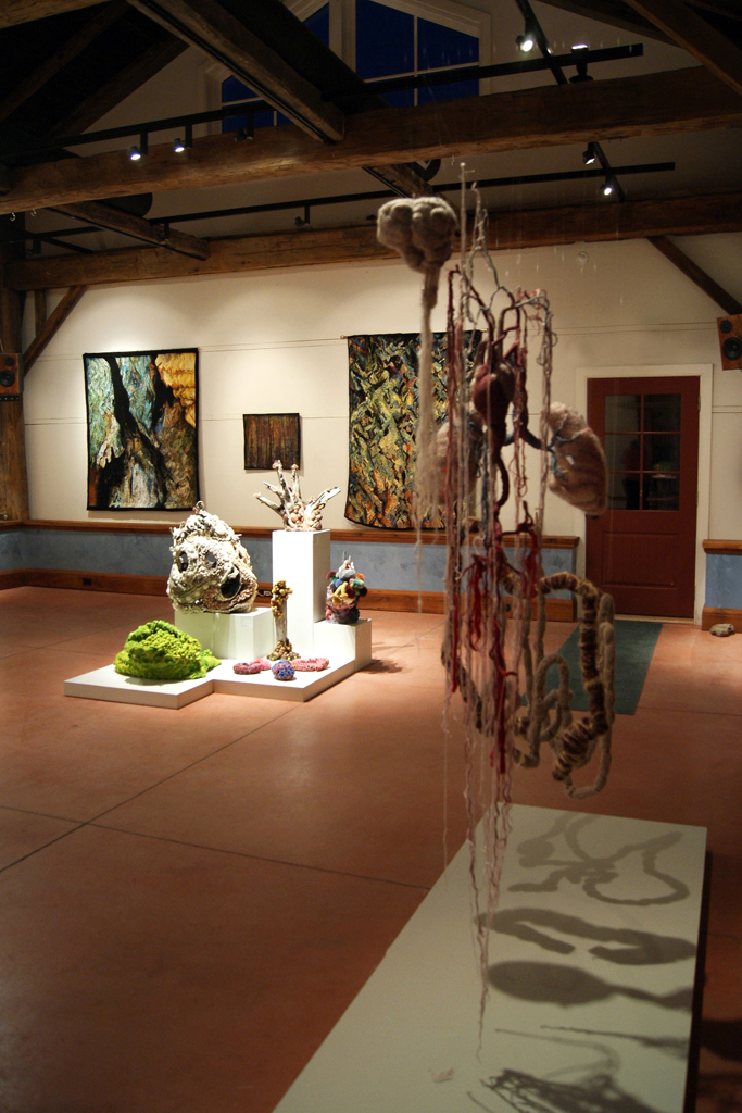 The Anatomical Self, Jillian MacLachlan, De rerum natura, World of Threads Festival 2012