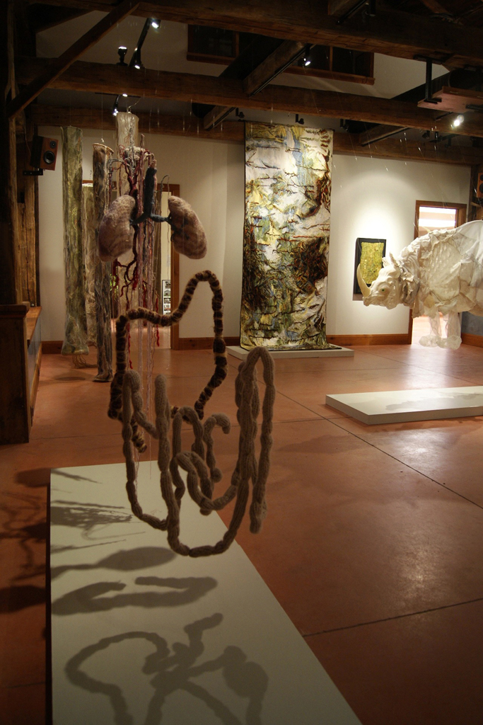 The Anatomical Self, Jillian MacLachlan, De rerum natura, World of Threads Festival 2012