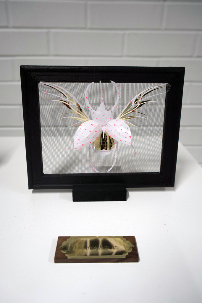 Breeyn McCarney, Dulcis Atlas, Solo Show, World of Threads Festival 2023-24.