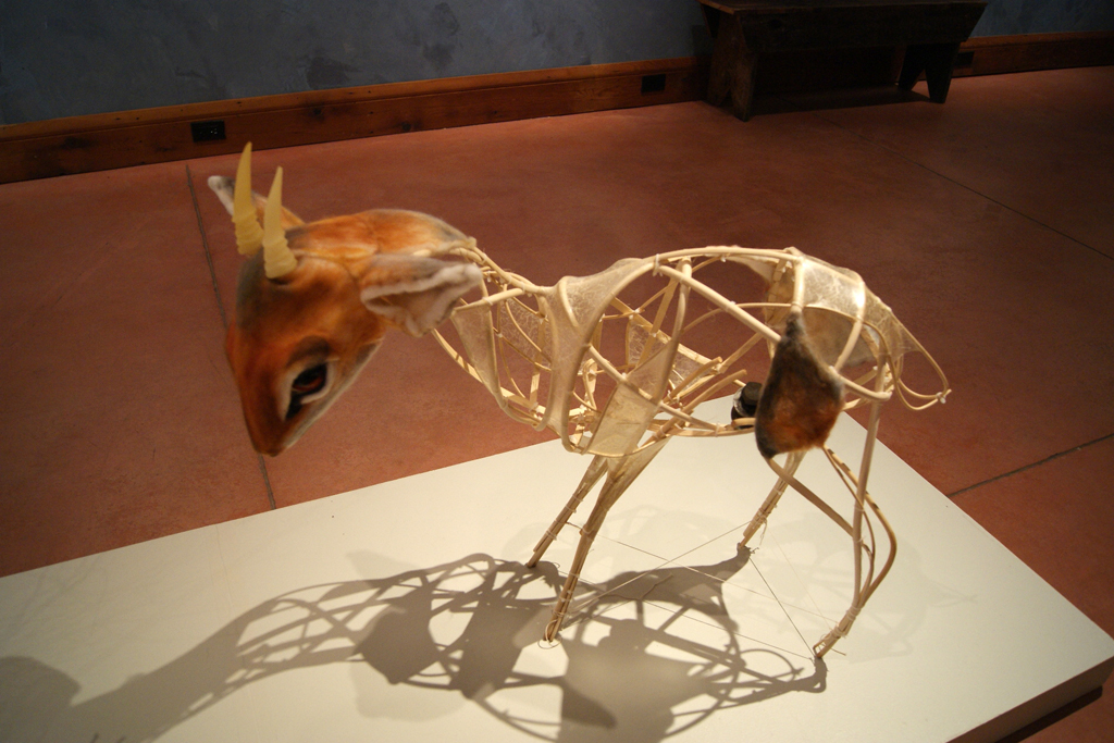 Dikdik, Ghost Dikdik, Emily Jan, De rerum natura, World of Threads Festival 2012.