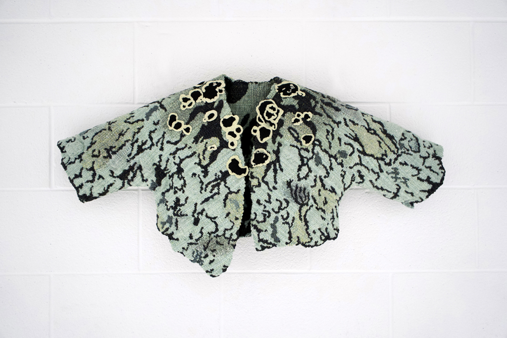 George-Ann Bowers, Lichen Bolero, Solo Show, World of Threads Festival 2023-24.