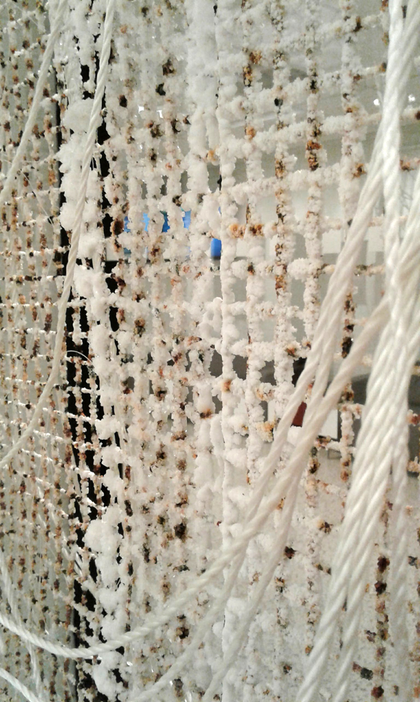 Tethered, detail, Elaine Whittaker, Cosmic Geometry exhibition, World of Threads Festival 2016.