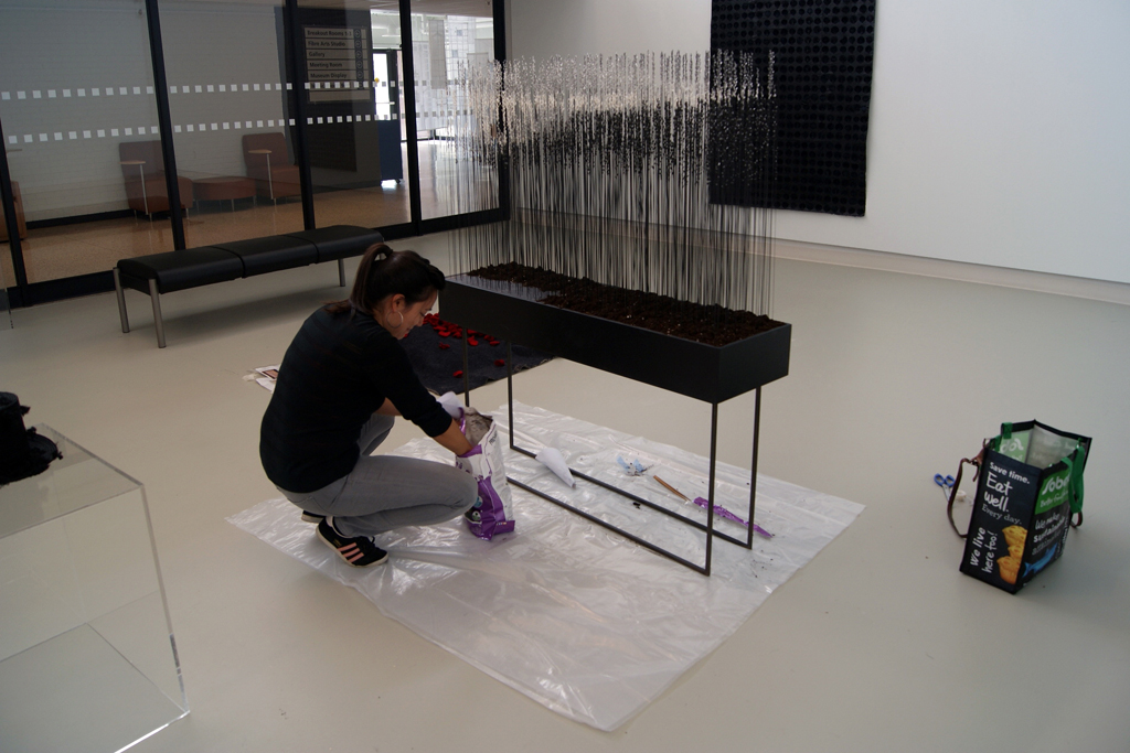 Artist: Emma Nishimura, installing her artwork, The Red and the Black exhibition, World of Threads Festival 2014.