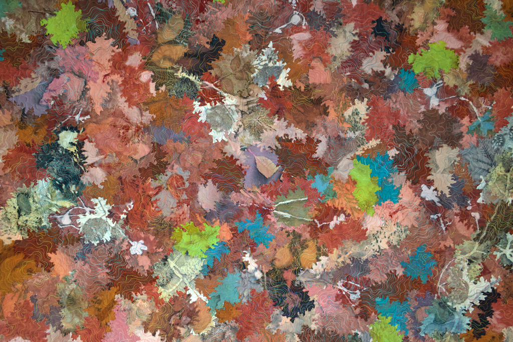 Maya Chaimovich, Despite it all, detail, Solo Show, World of Threads Festival 2023-24.