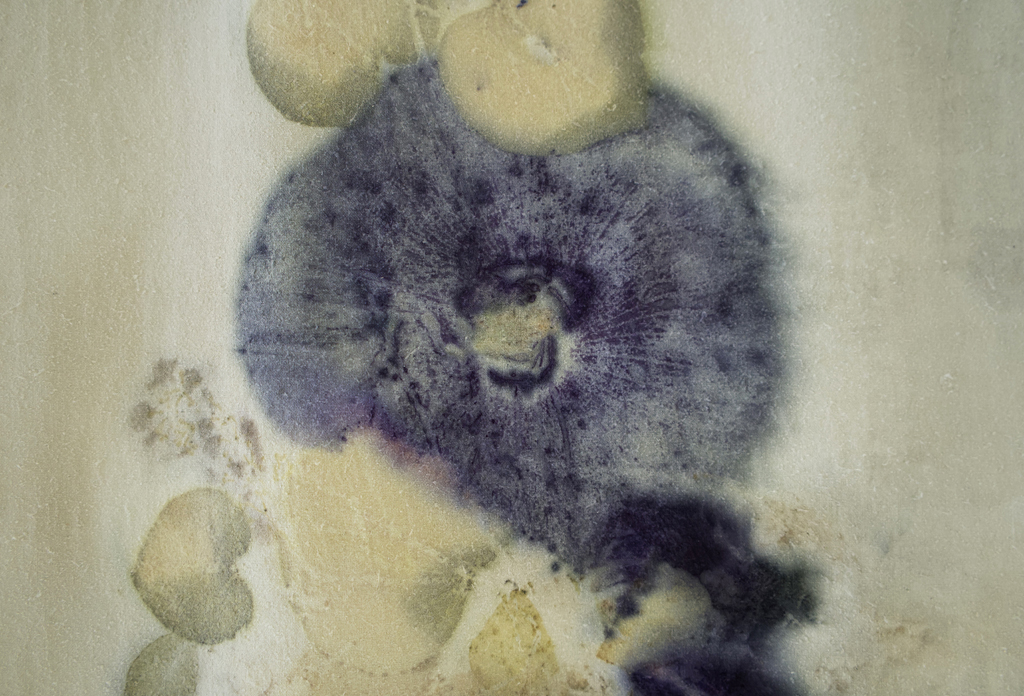 Linda Kollofski, Hibiscus Zen, detail, Solo Show, World of Threads Festival 2023-24.