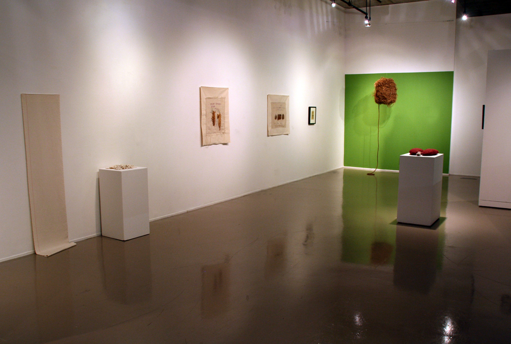 Installation view: Strung out and Undone exhibition, World of Threads Festival 2014.