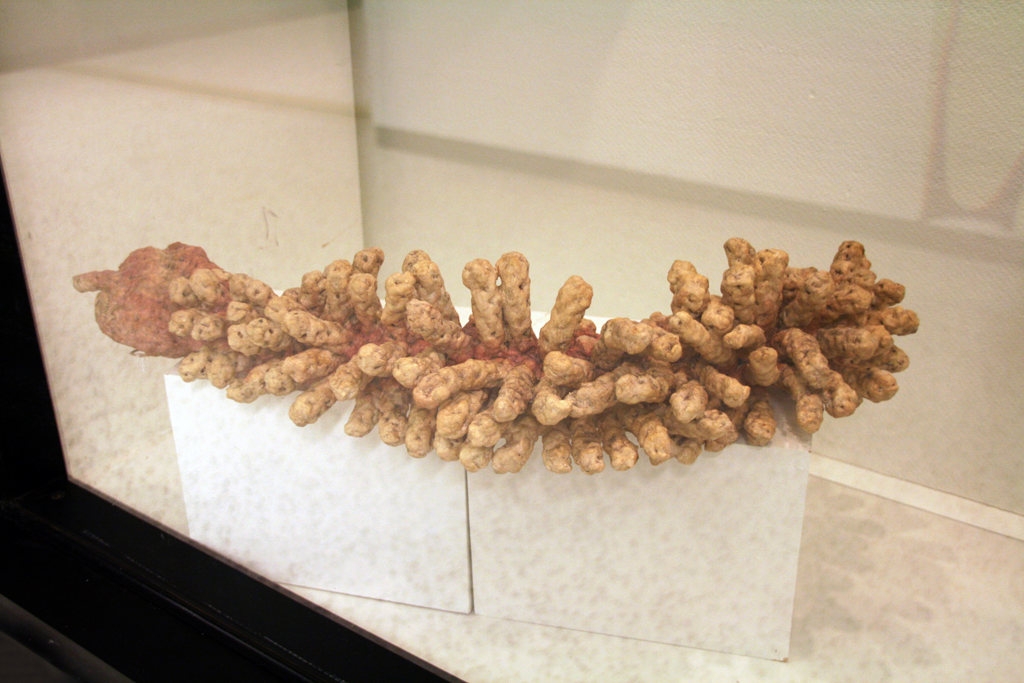 Barbara De Pirro, Quill, Solo Show, World of Threads Festival 2014.