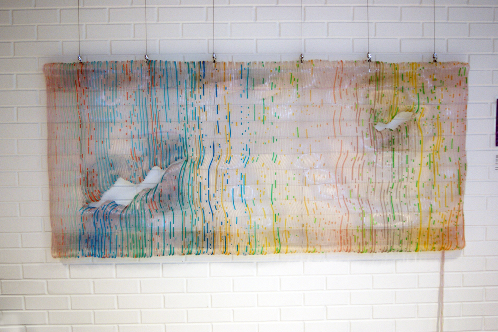 Nathan Johns, installation, Variegated Threads exhibition, World of Threads Festival 2012.