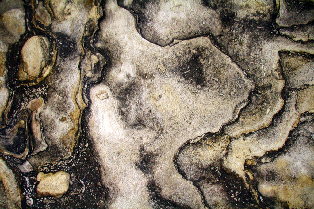 Betty Busby, Coquina, detail, Solo Show, World of Threads Festival 2014.