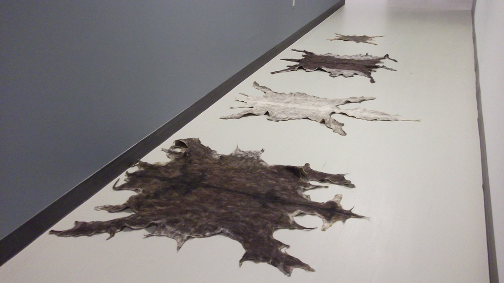 Laying out the art installation of  Daniel F Manchego, World of Threads Festival 2014.