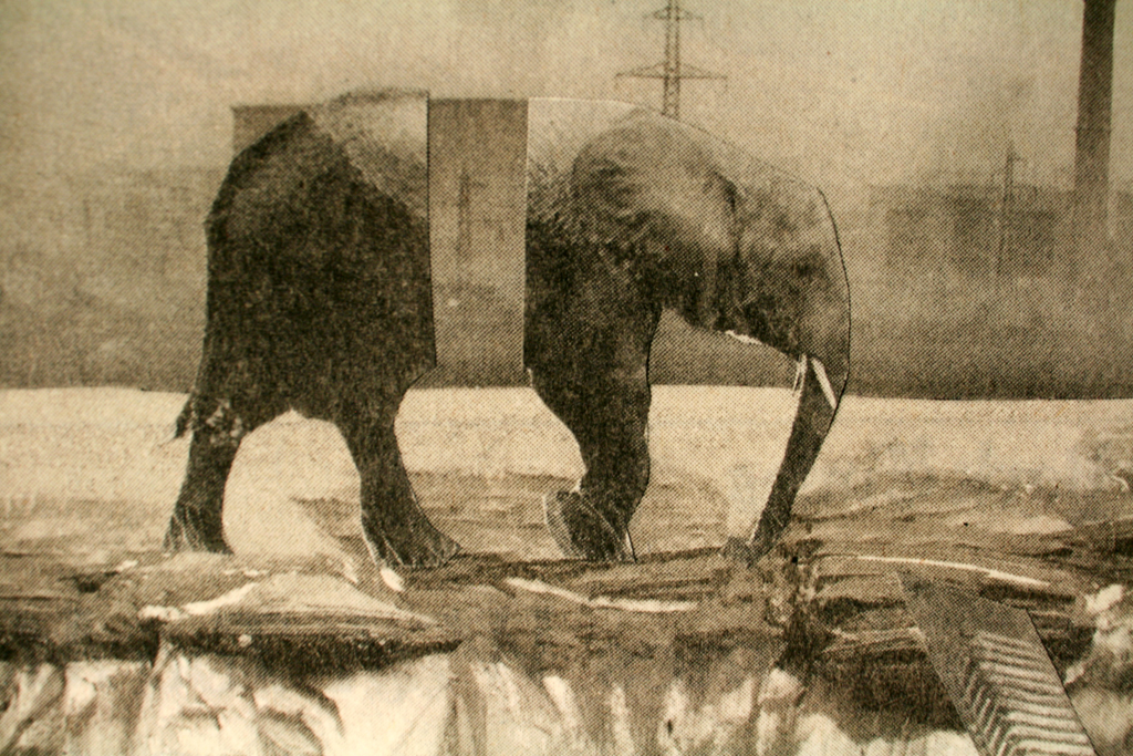 Penny Mateer, The 180 Pound Gorilla, detail, Solo Show, World of Threads Festival 2014.