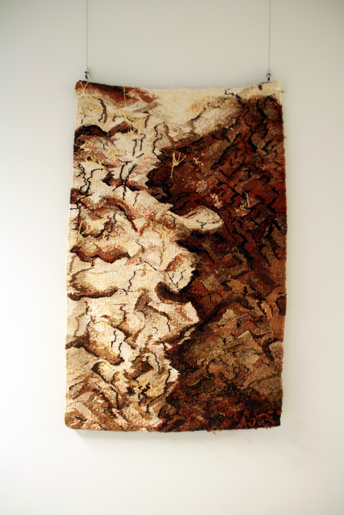 Ixchel Suarez, Trees Die Standing Still, Solo Show, World of Threads Festival 2014.