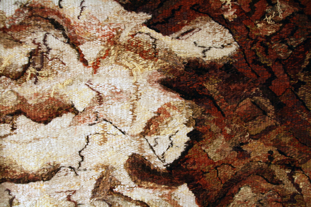 Ixchel Suarez, Trees Die Standing Still, detail, Solo Show, World of Threads Festival 2014.