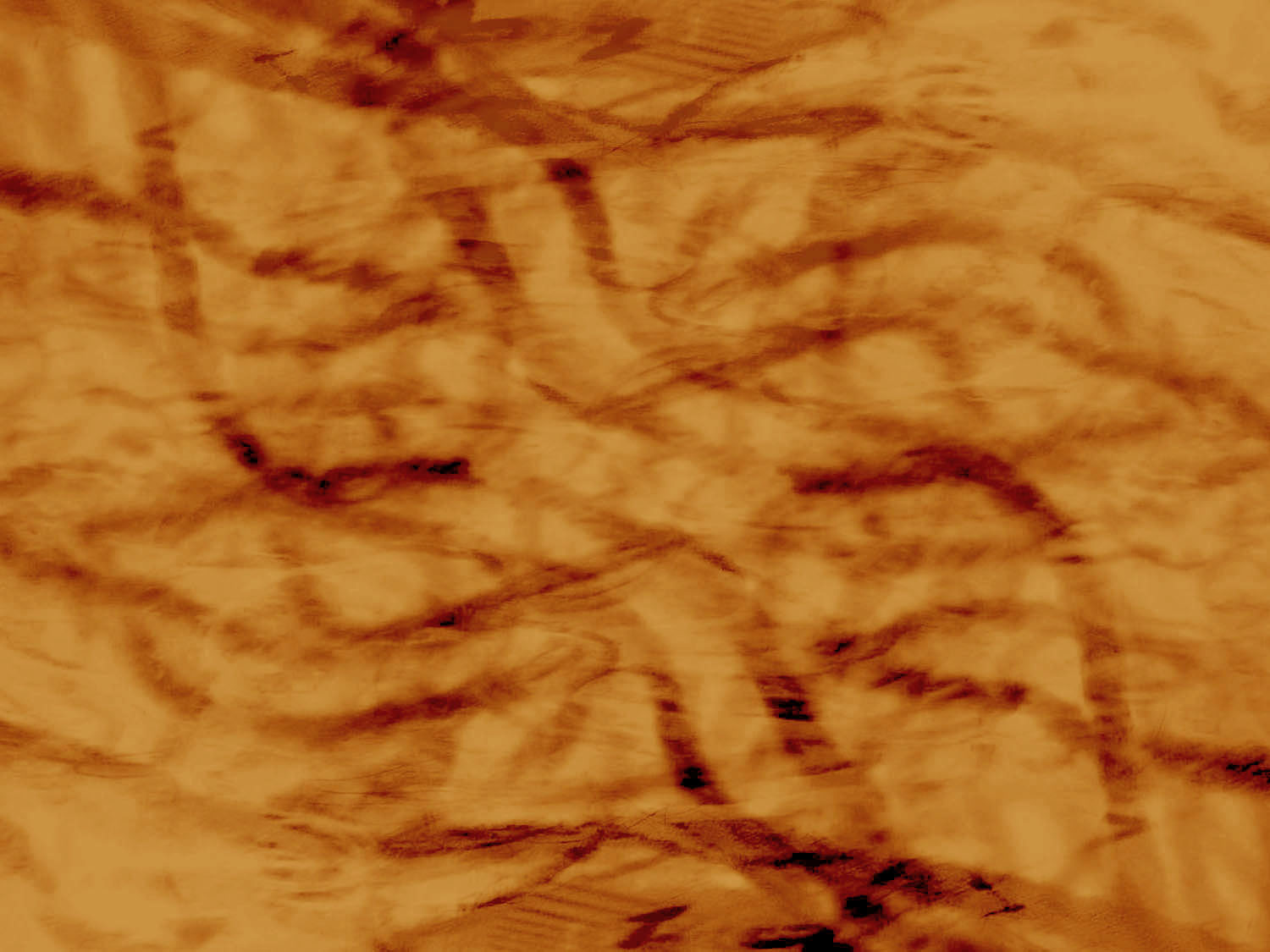 emily_jan_background