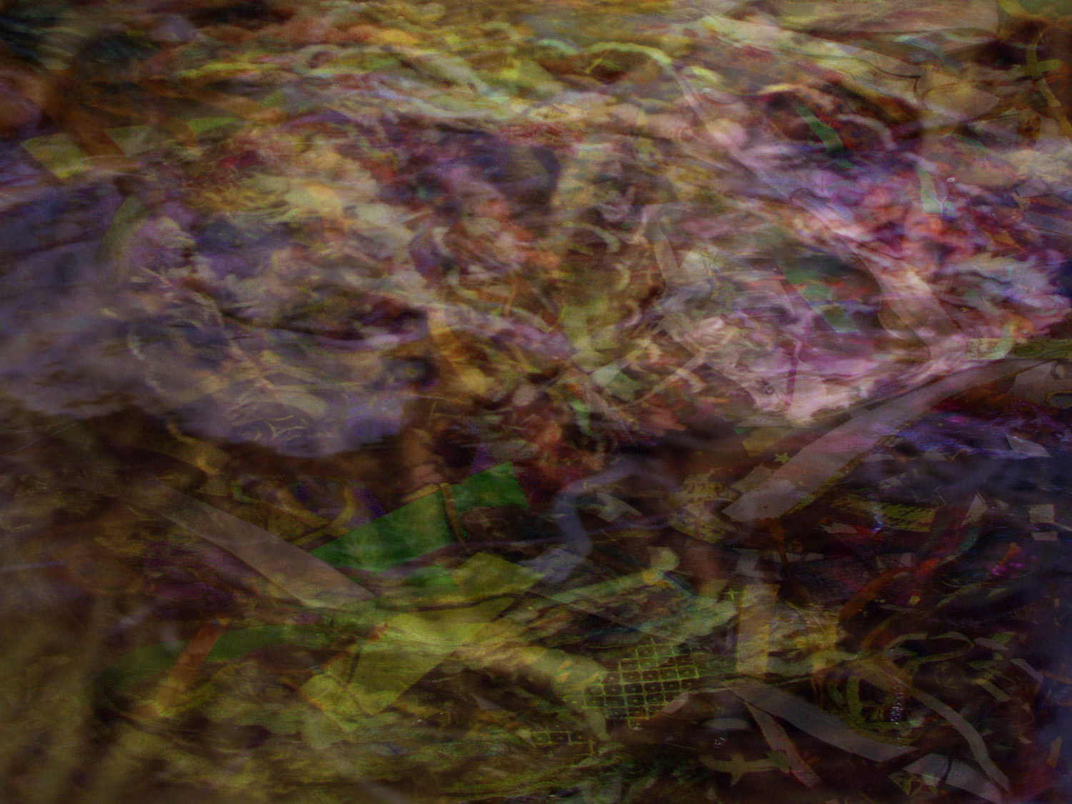 gordana_brelih_background