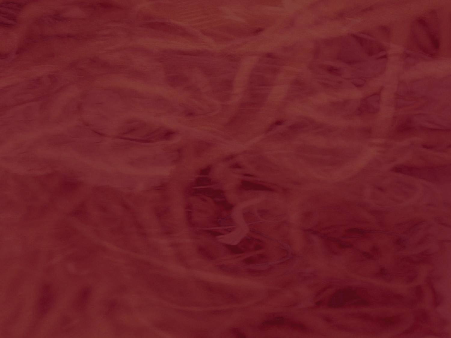 lindy_pole_background