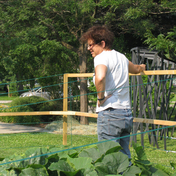 Artist: Mary Catherine Newcomb